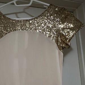 Women’s Sequin Dress/Gown